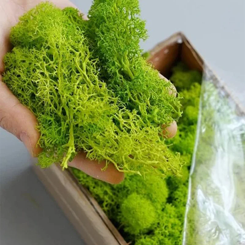 20-200g Sztuczne rośliny zielo – Terrarium Moss Art recenzja i cena